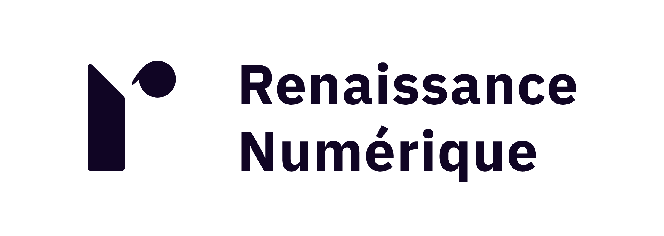 Renaissance Numerique logo